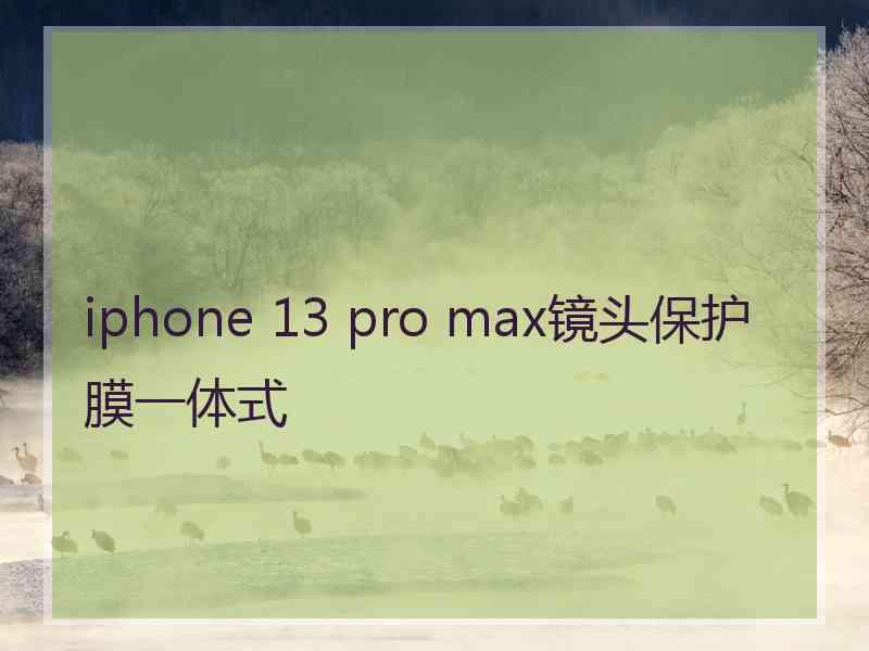 iphone 13 pro max镜头保护膜一体式