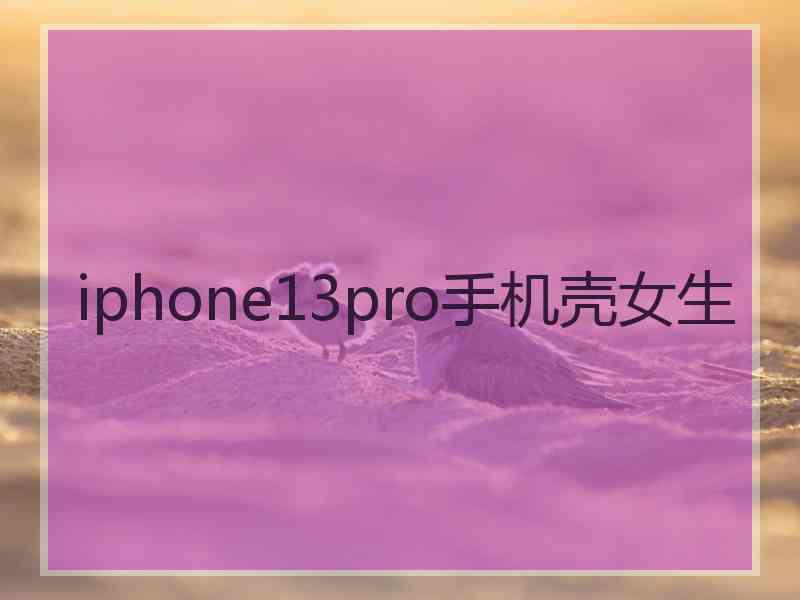 iphone13pro手机壳女生