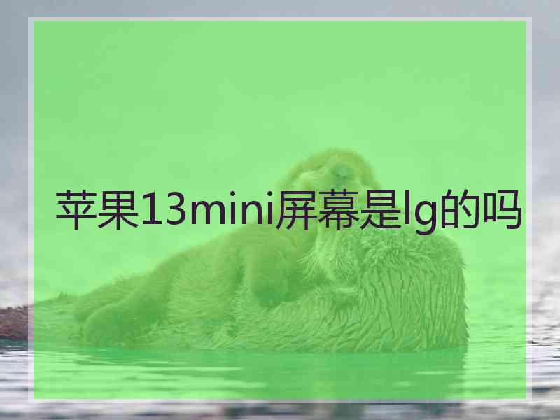 苹果13mini屏幕是lg的吗