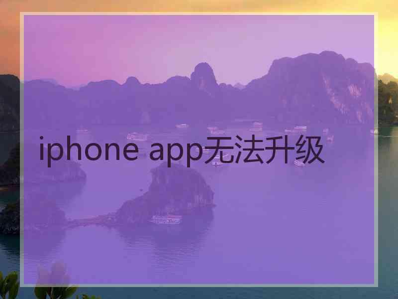 iphone app无法升级