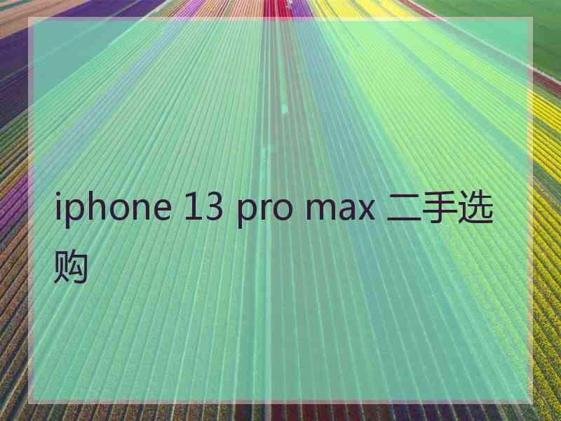 iphone 13 pro max 二手选购