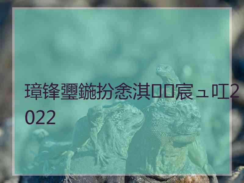 璋锋瓕鍦扮悆淇宸ュ叿2022