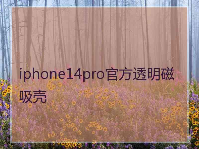 iphone14pro官方透明磁吸壳