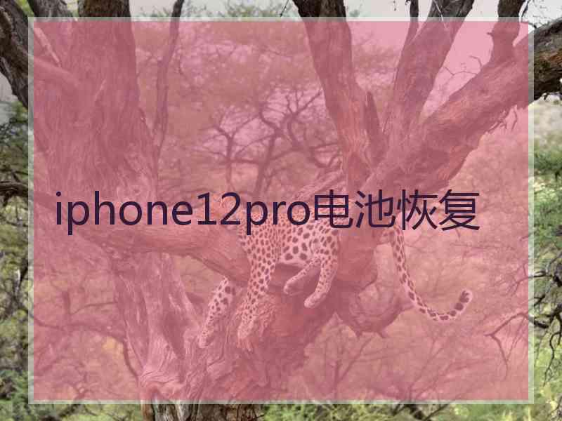 iphone12pro电池恢复