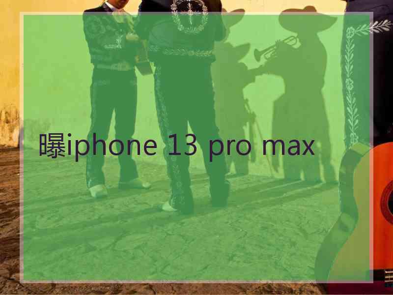 曝iphone 13 pro max