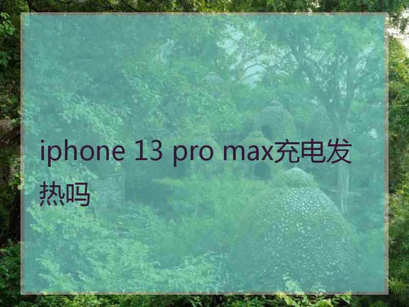 iphone 13 pro max充电发热吗