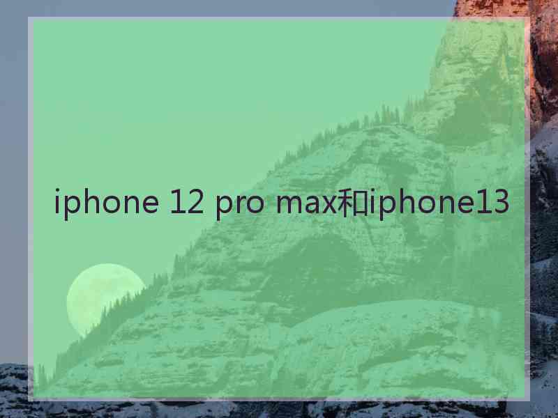 iphone 12 pro max和iphone13