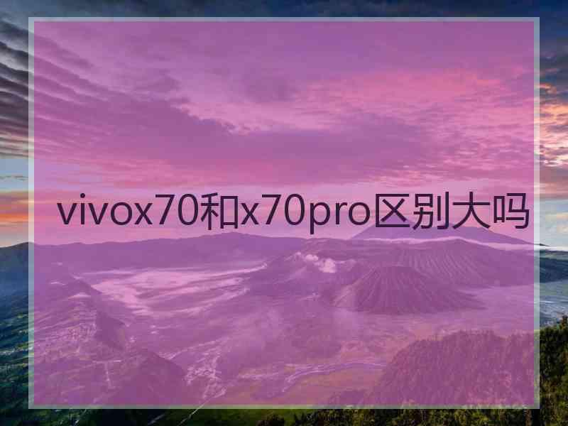 vivox70和x70pro区别大吗