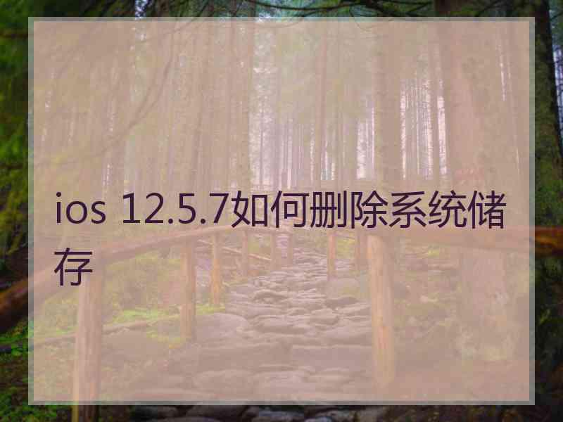 ios 12.5.7如何删除系统储存