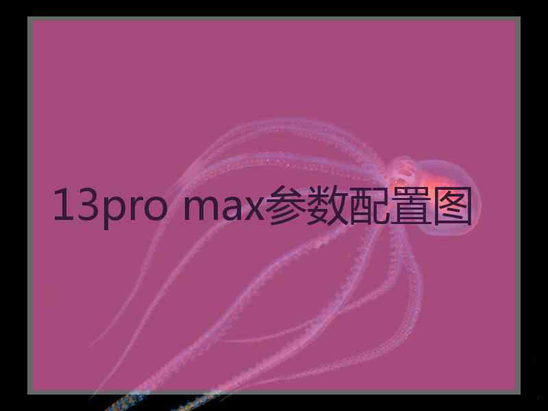 13pro max参数配置图