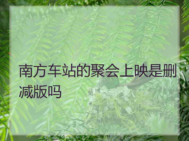 南方车站的聚会上映是删减版吗