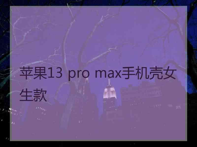 苹果13 pro max手机壳女生款