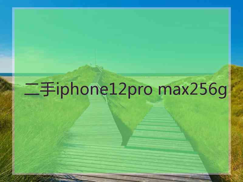 二手iphone12pro max256g