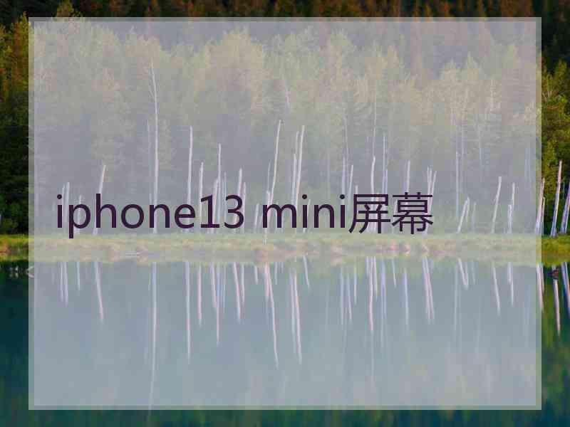 iphone13 mini屏幕