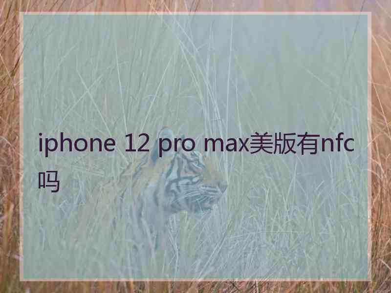 iphone 12 pro max美版有nfc吗