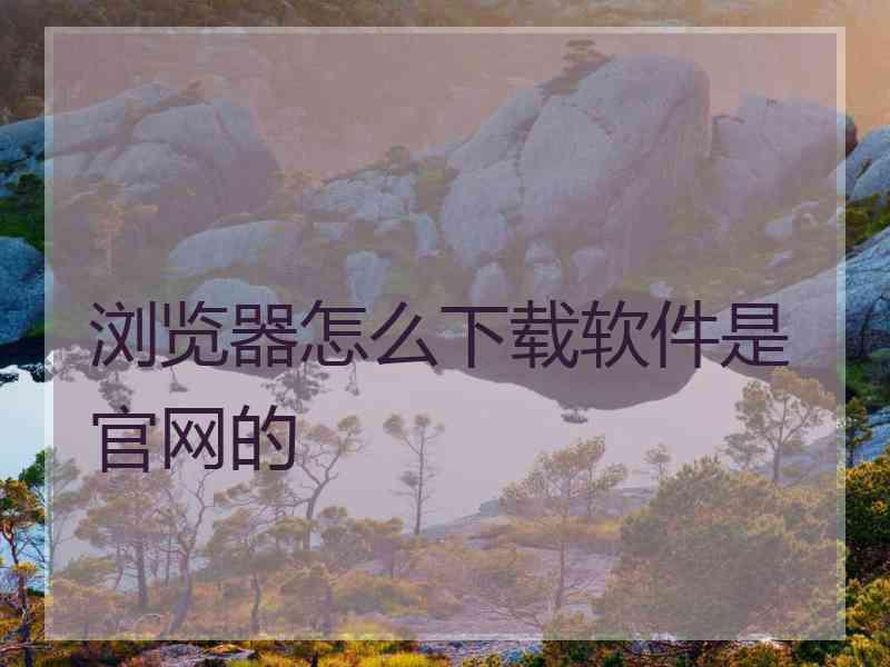 浏览器怎么下载软件是官网的