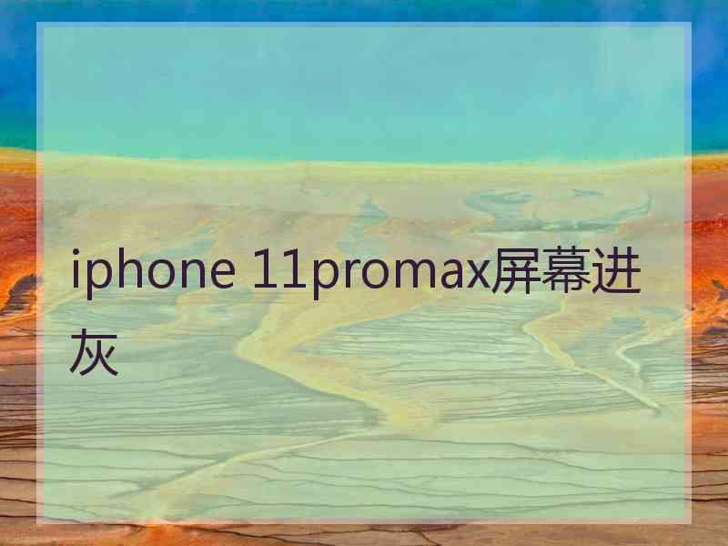 iphone 11promax屏幕进灰