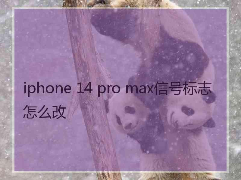 iphone 14 pro max信号标志怎么改