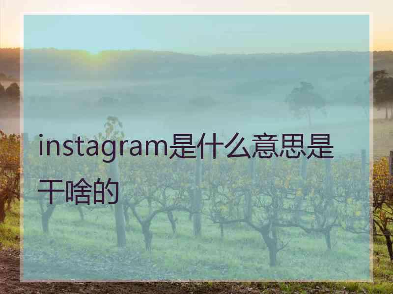 instagram是什么意思是干啥的