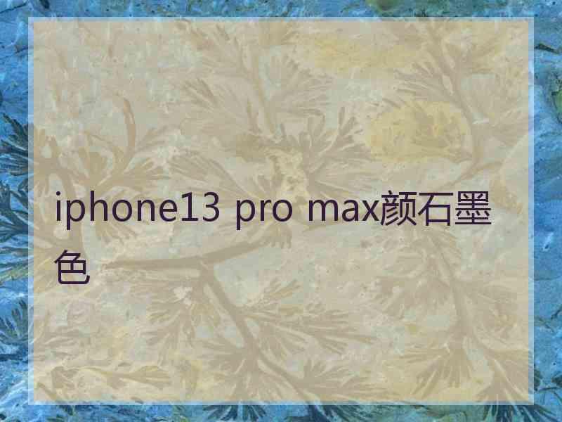 iphone13 pro max颜石墨色