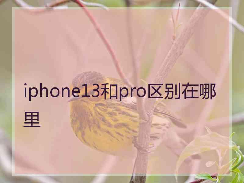 iphone13和pro区别在哪里