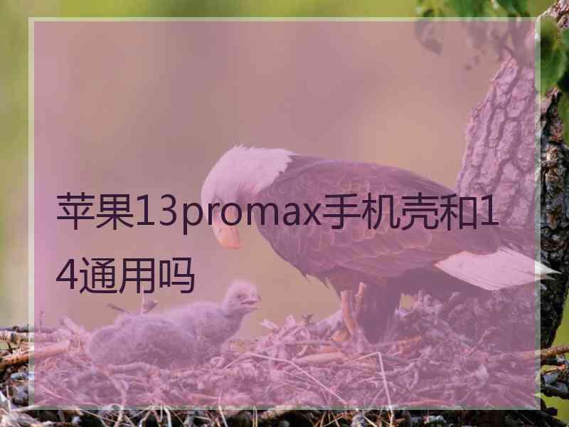 苹果13promax手机壳和14通用吗