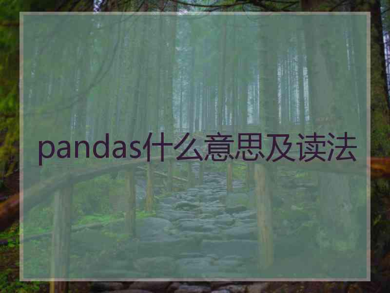 pandas什么意思及读法