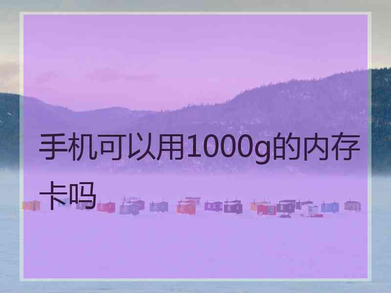 手机可以用1000g的内存卡吗