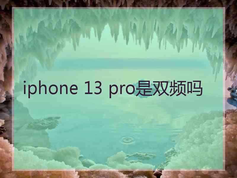 iphone 13 pro是双频吗