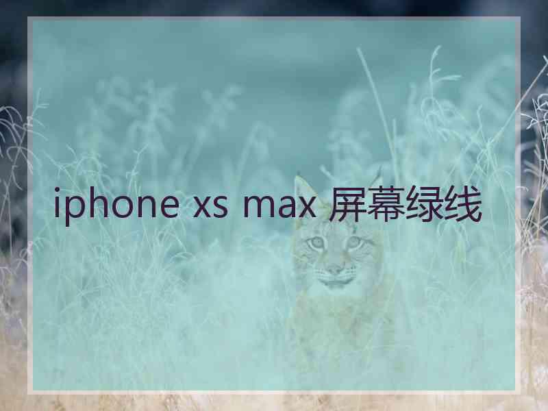 iphone xs max 屏幕绿线