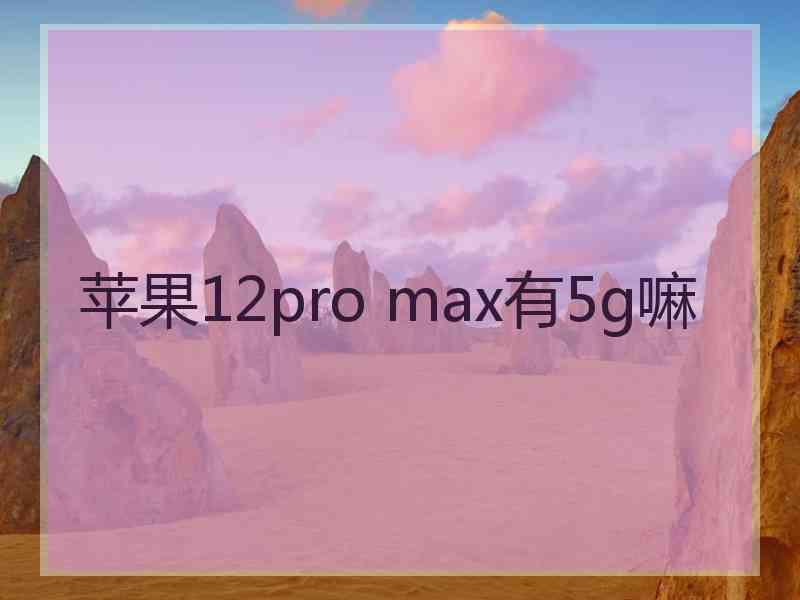 苹果12pro max有5g嘛