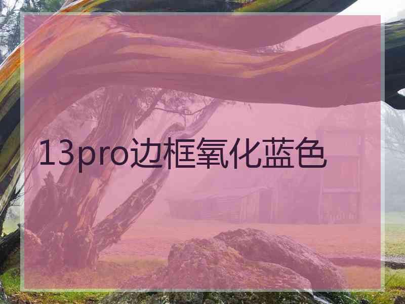 13pro边框氧化蓝色