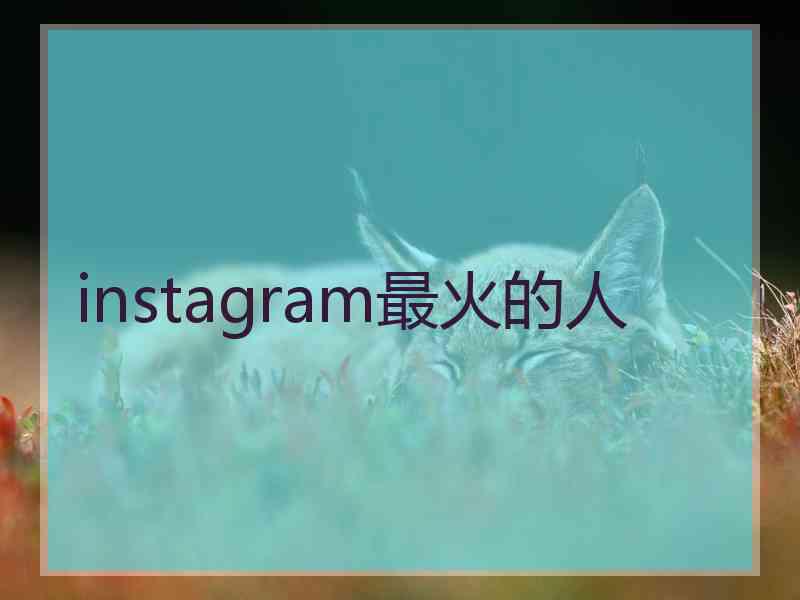 instagram最火的人