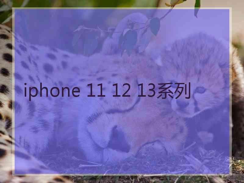 iphone 11 12 13系列