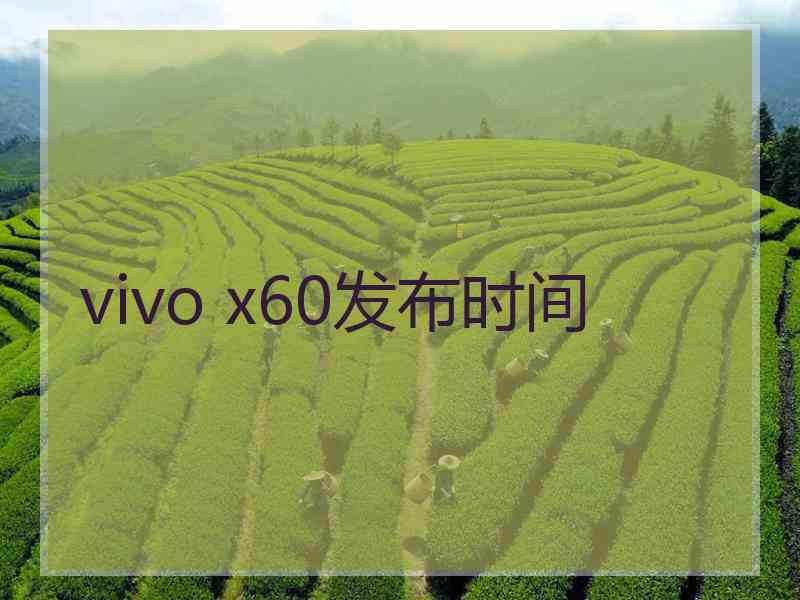 vivo x60发布时间