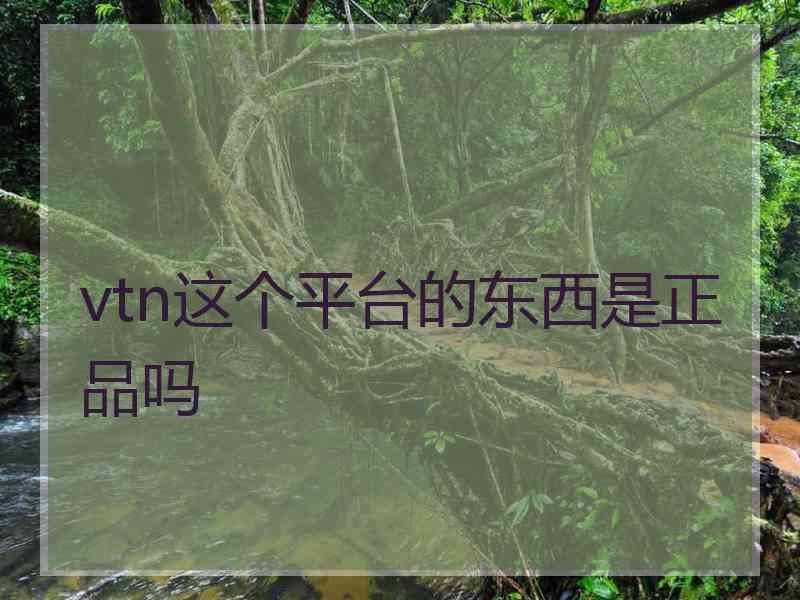 vtn这个平台的东西是正品吗