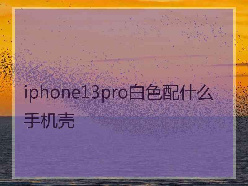 iphone13pro白色配什么手机壳