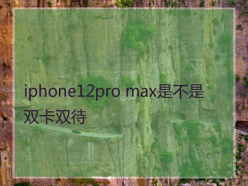 iphone12pro max是不是双卡双待