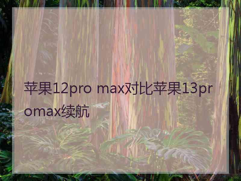 苹果12pro max对比苹果13promax续航