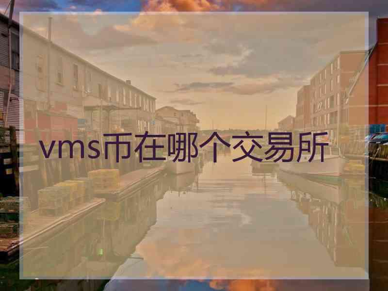 vms币在哪个交易所