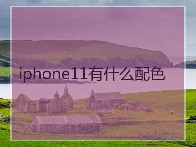 iphone11有什么配色