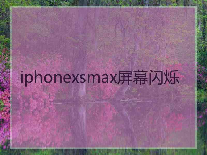 iphonexsmax屏幕闪烁