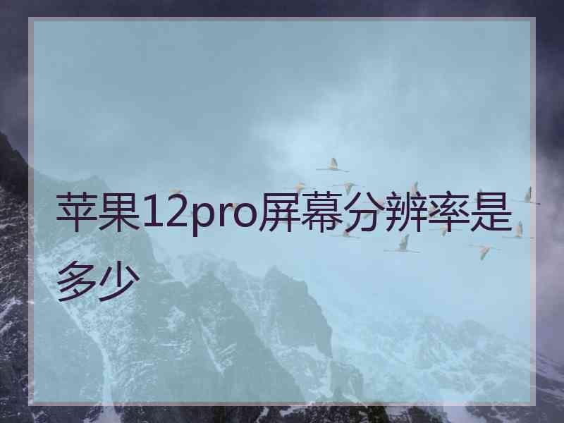 苹果12pro屏幕分辨率是多少