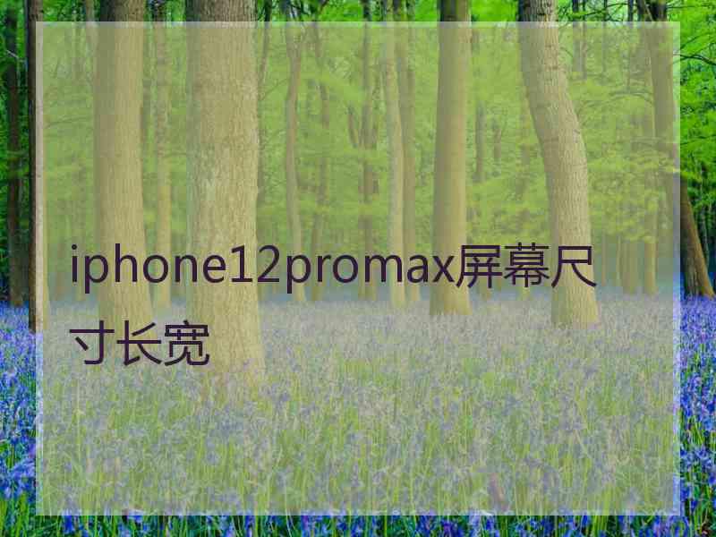 iphone12promax屏幕尺寸长宽