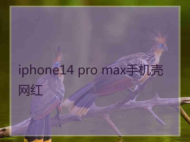 iphone14 pro max手机壳网红