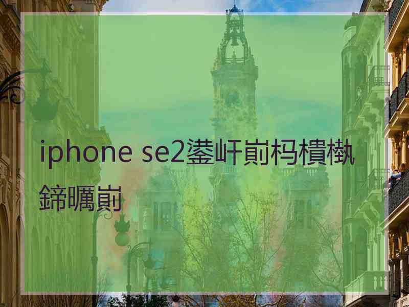 iphone se2鍙屽崱杩樻槸鍗曞崱