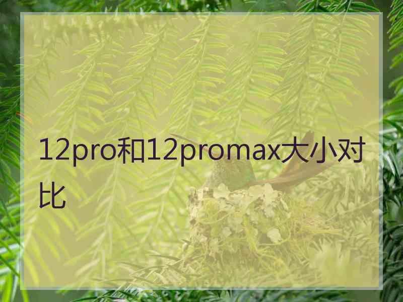 12pro和12promax大小对比