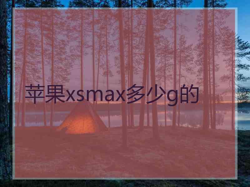 苹果xsmax多少g的