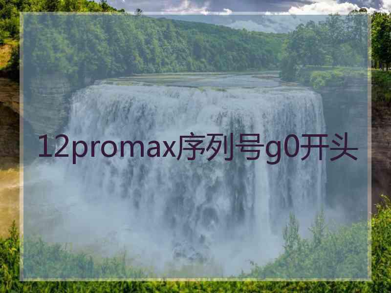 12promax序列号g0开头