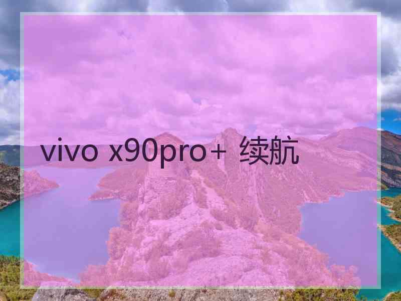 vivo x90pro+ 续航